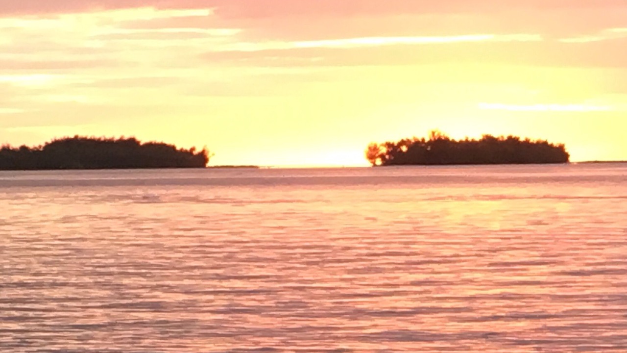 Photo of Others in Bora Bora