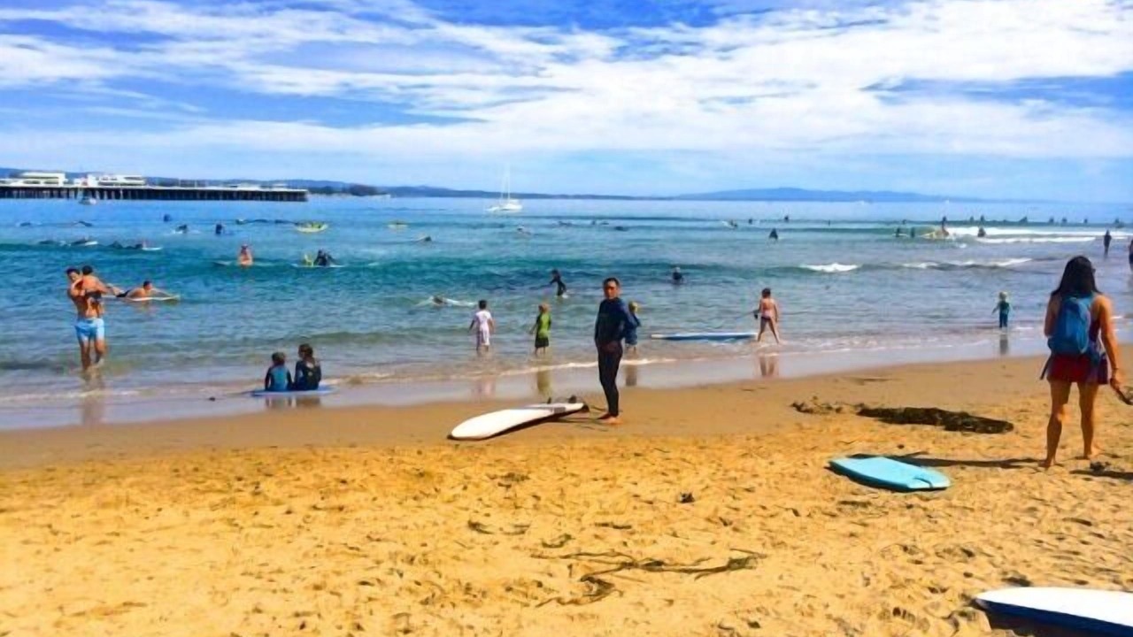 Photo of Others in Westside Santa Cruz