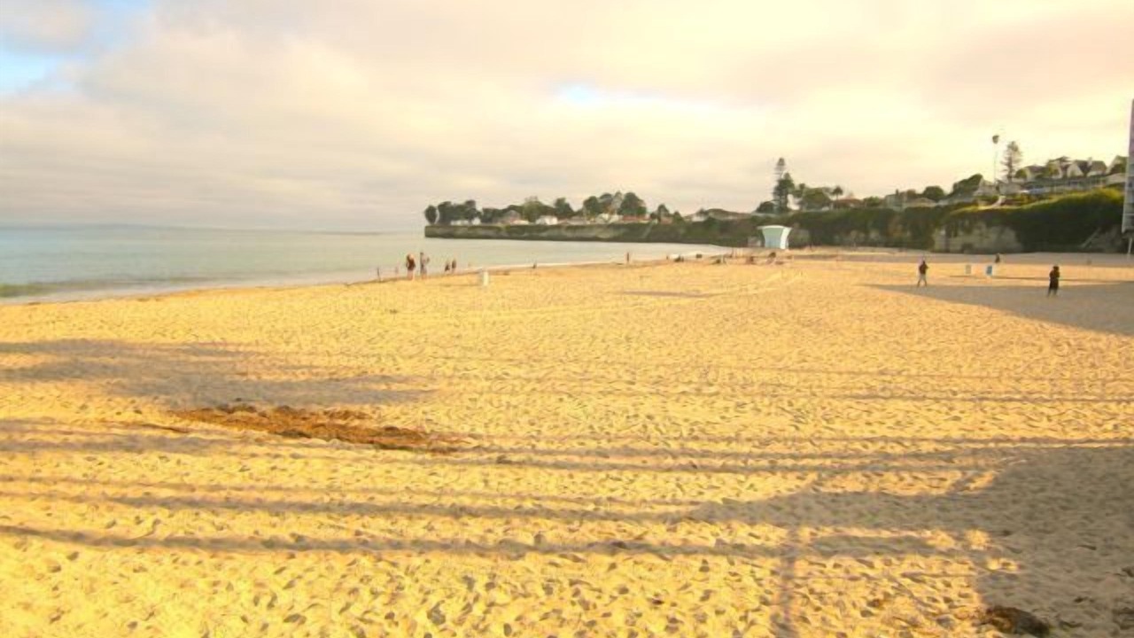 Photo of Others in Westside Santa Cruz