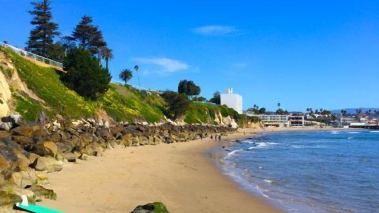 Photo of Others in Westside Santa Cruz