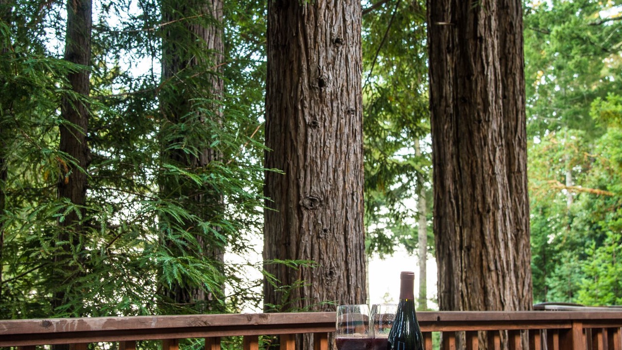 Photo of Outdoor in Santa Cruz