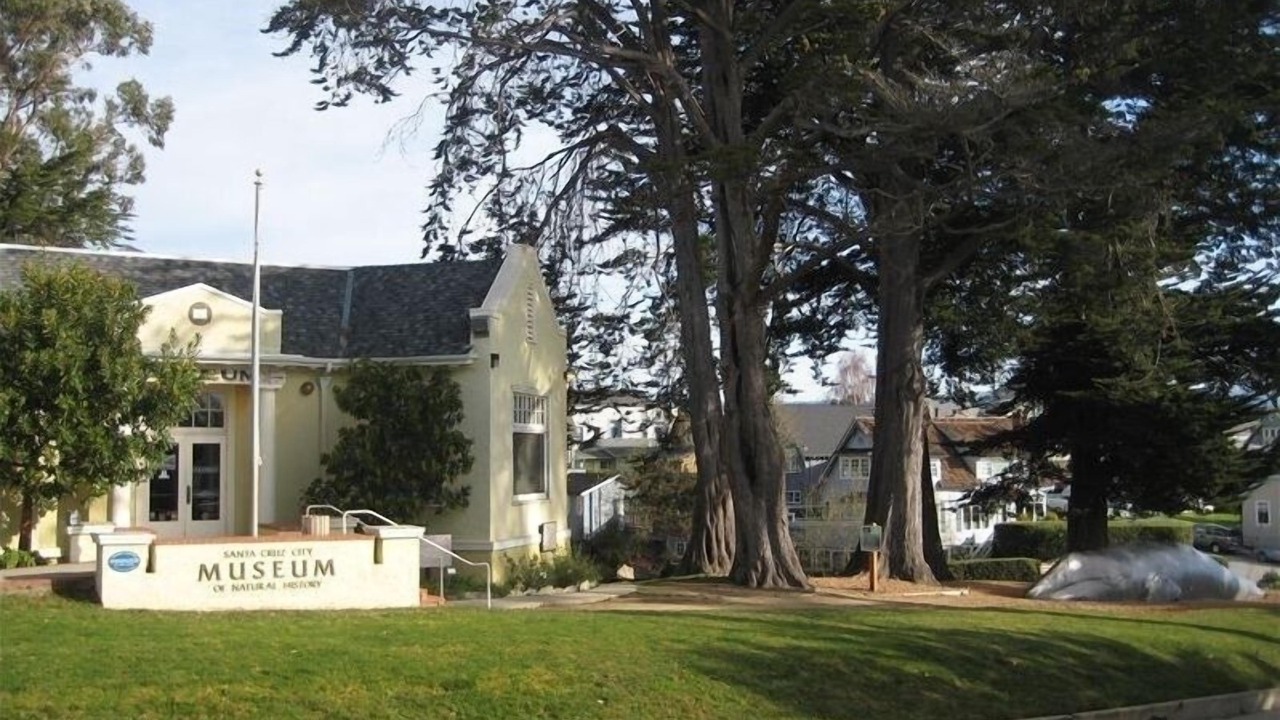 Photo of Others in Seabright