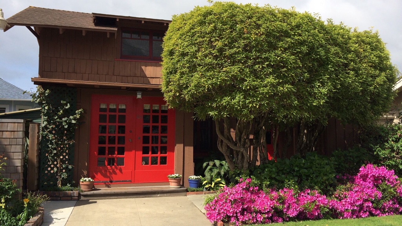 Photo of Outdoor in Seabright
