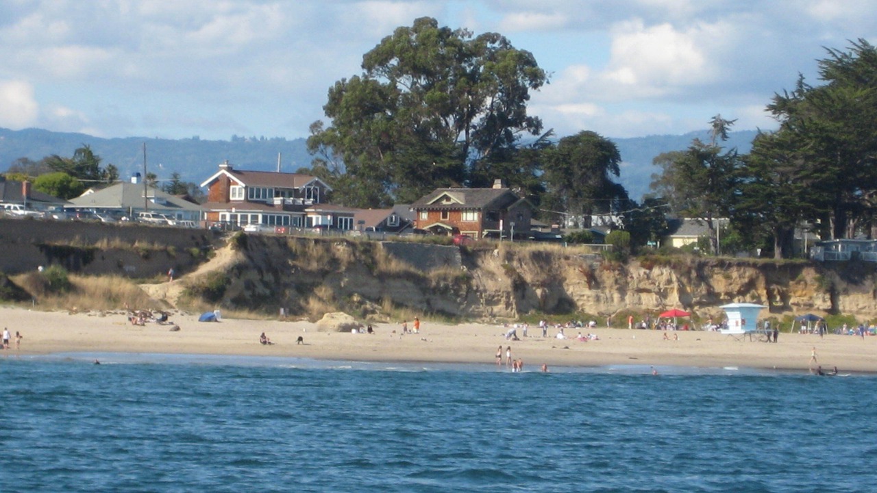 Photo of Others in Seabright