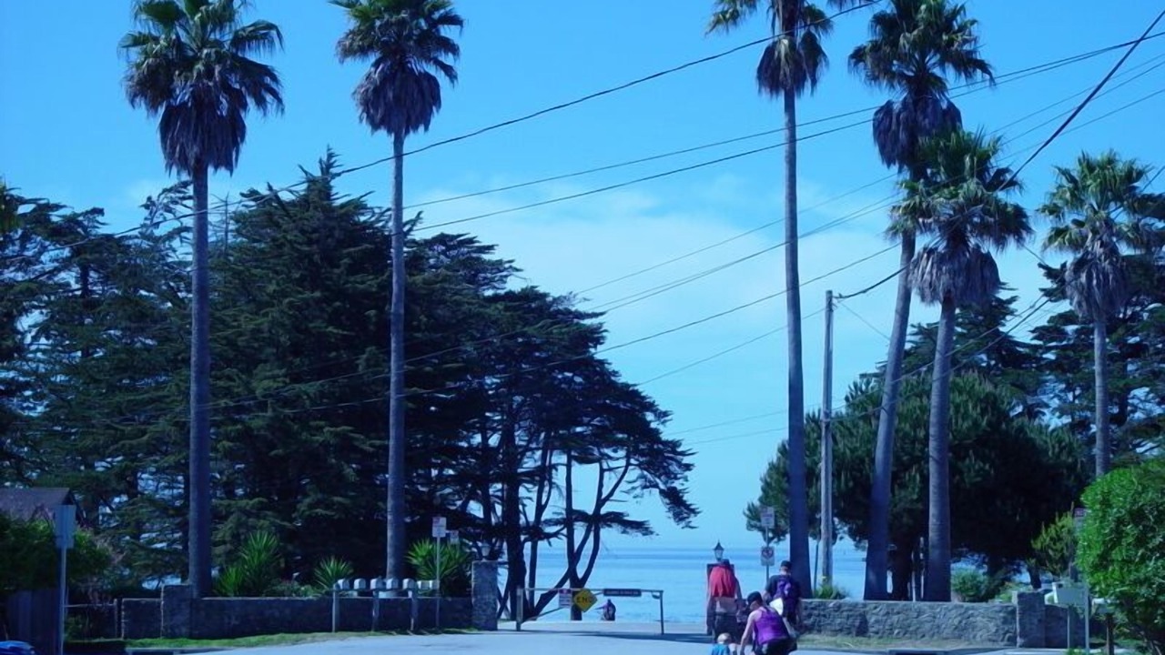 Photo of Others in Eastside Santa Cruz