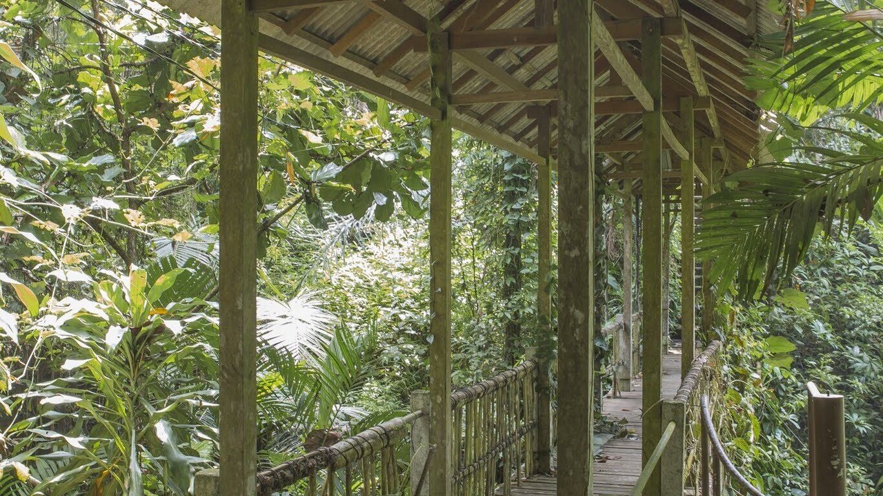 Photo of Outdoor in Ubud