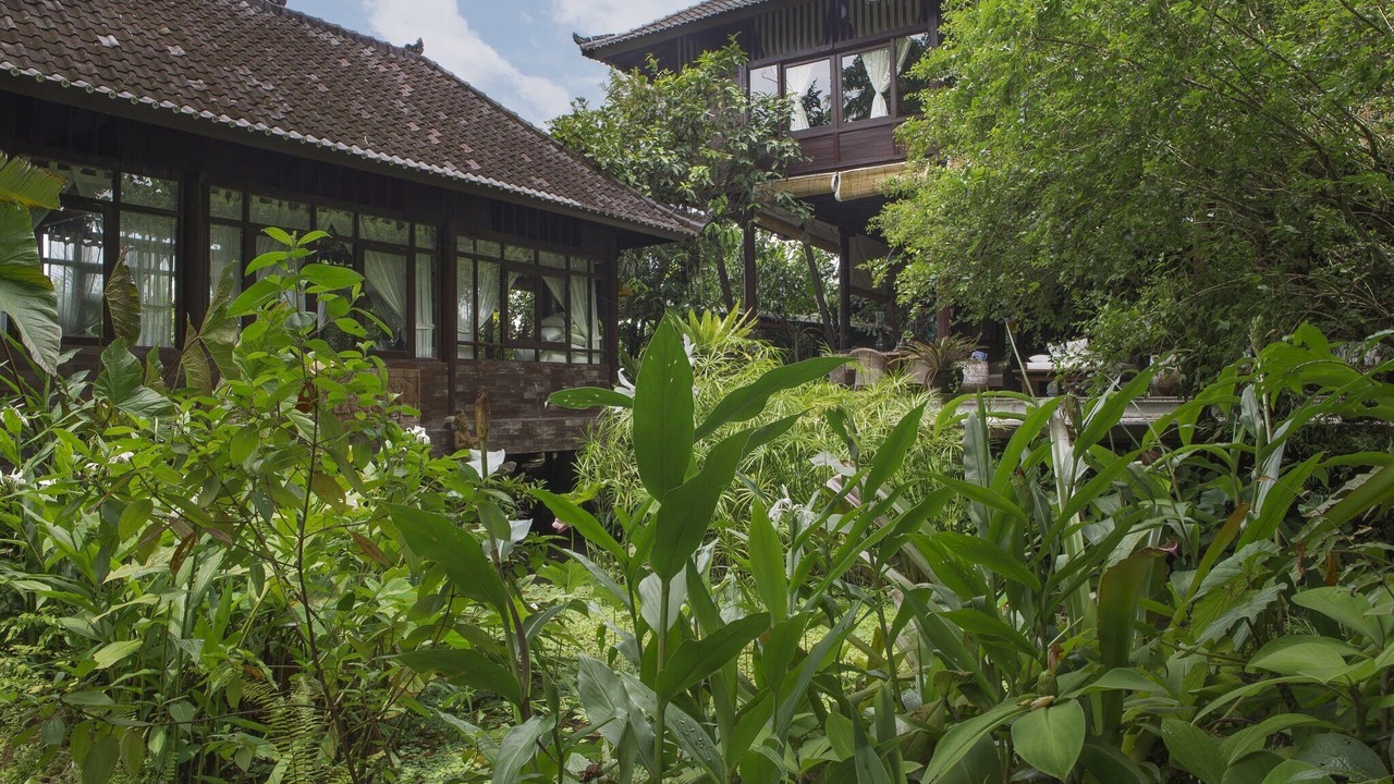Photo of Outdoor in Ubud