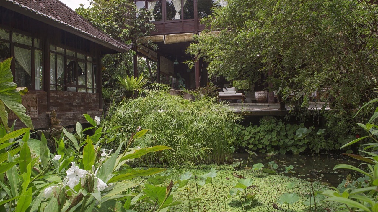 Photo of Outdoor in Ubud
