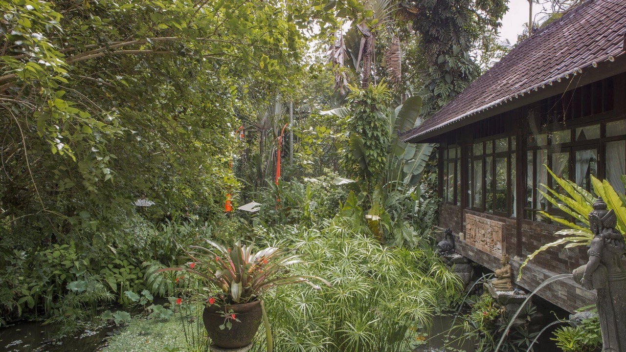 Photo of Outdoor in Ubud