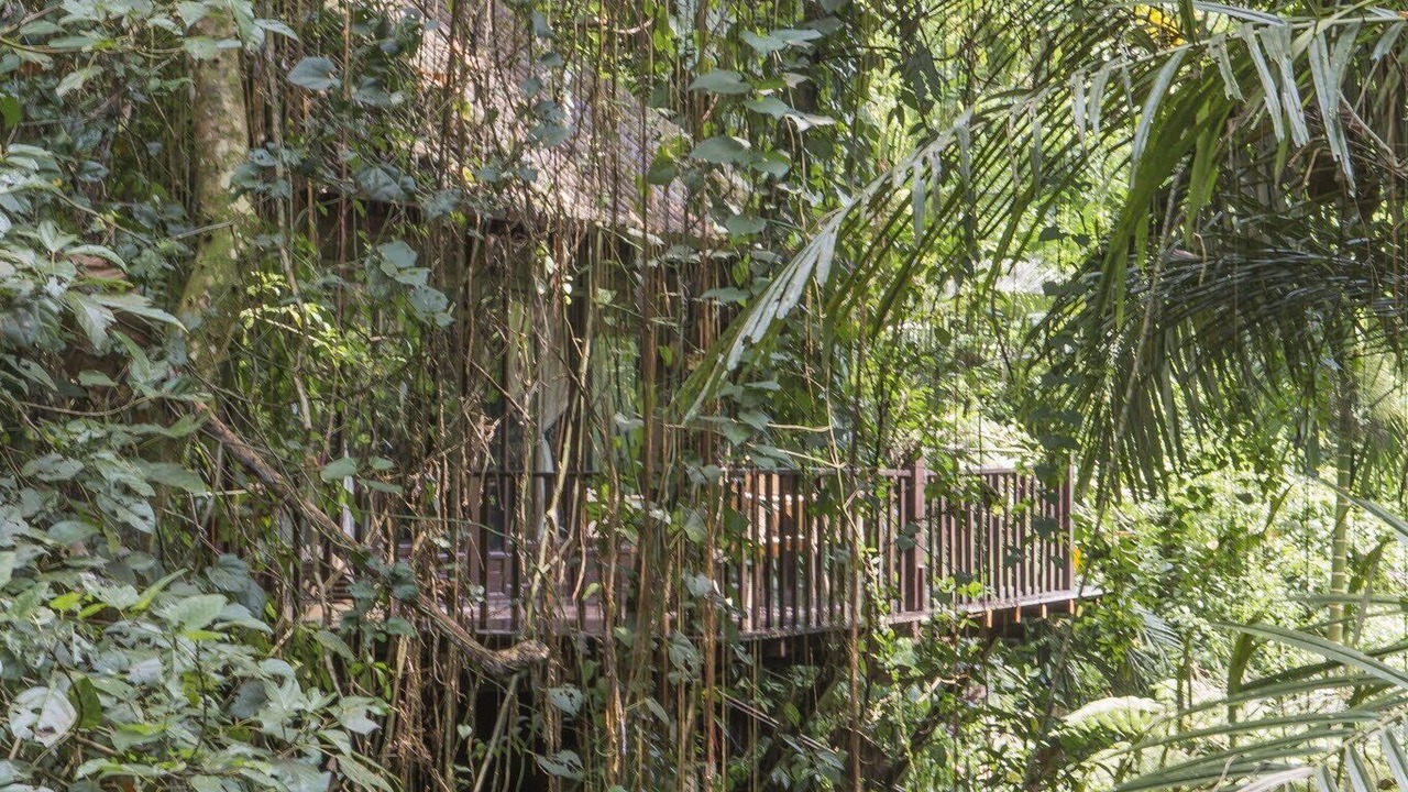 Photo of Outdoor in Ubud