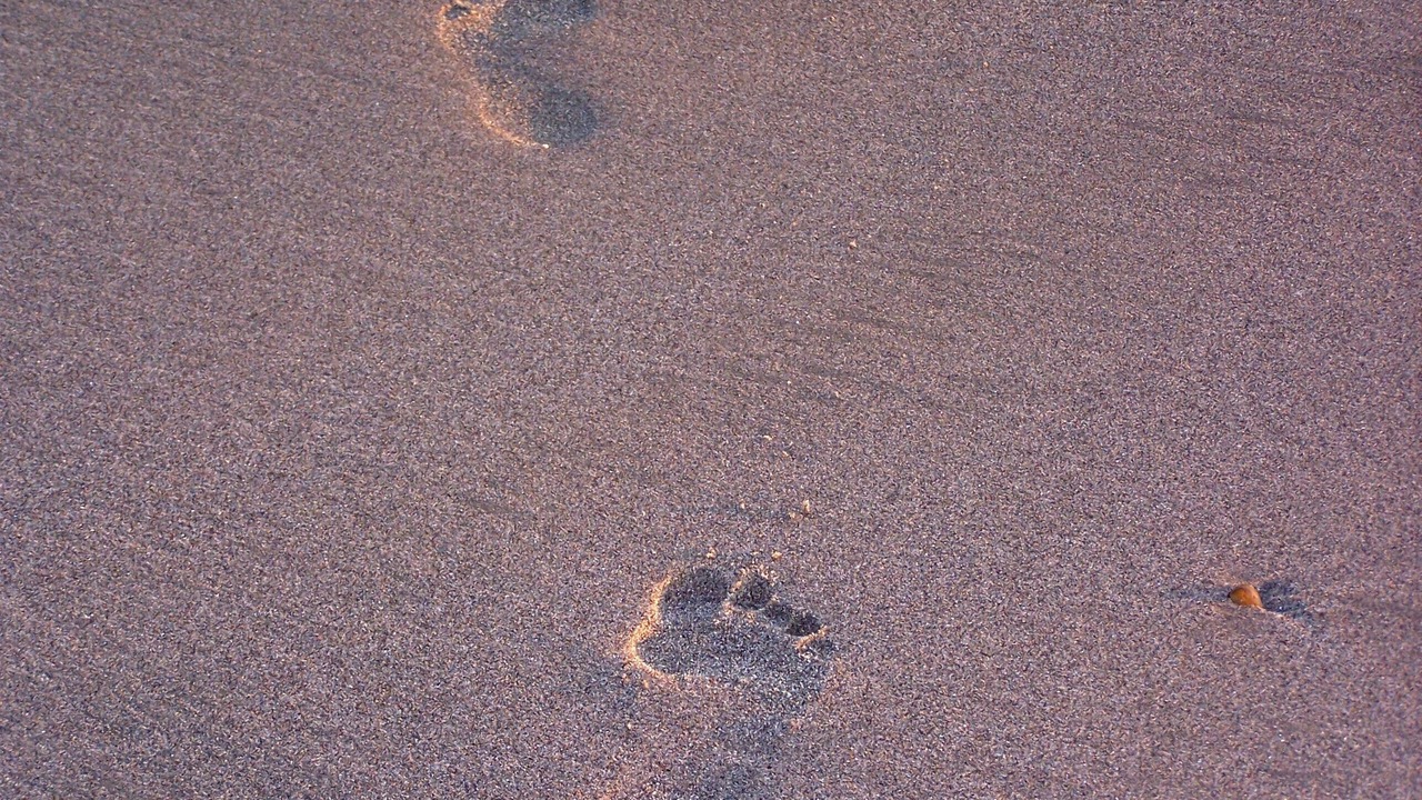 Photo of Others in Pajaro Dunes