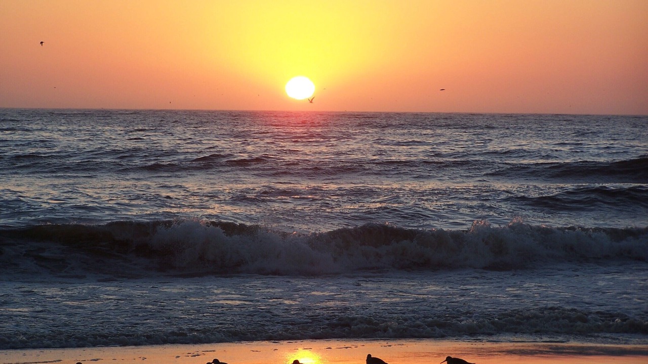 Photo of Others in Pajaro Dunes