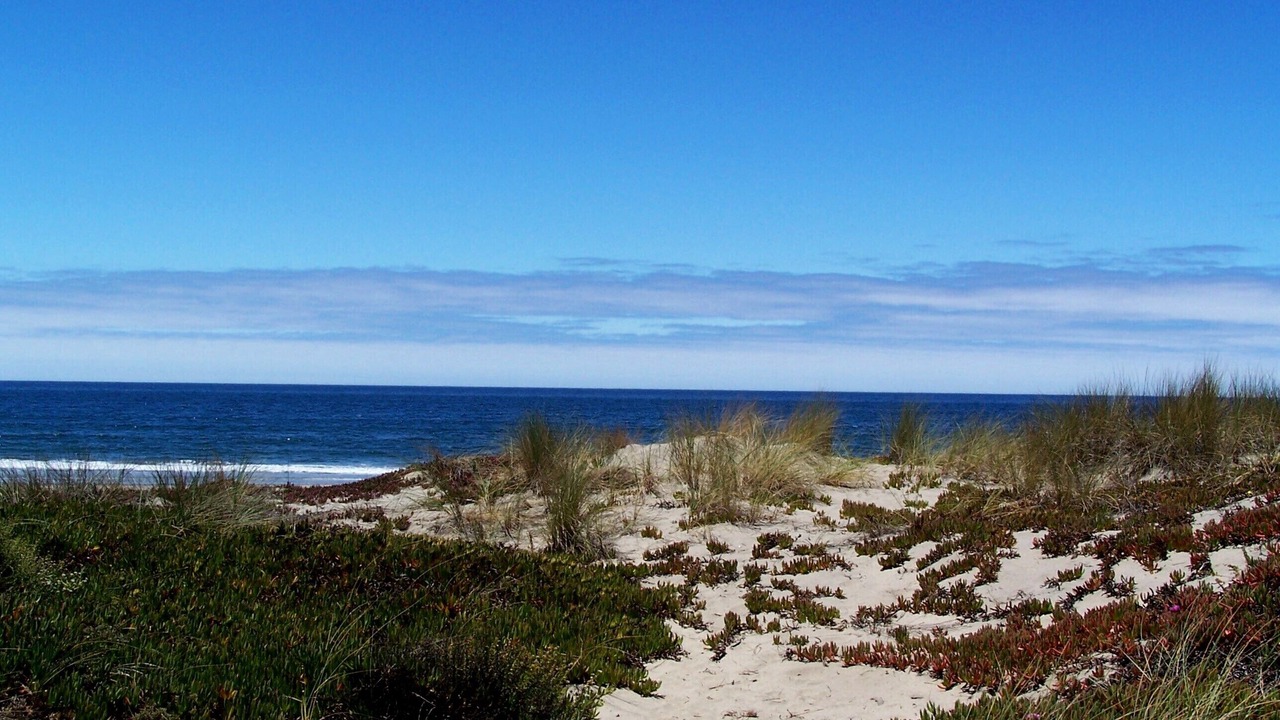 Photo of Others in Pajaro Dunes