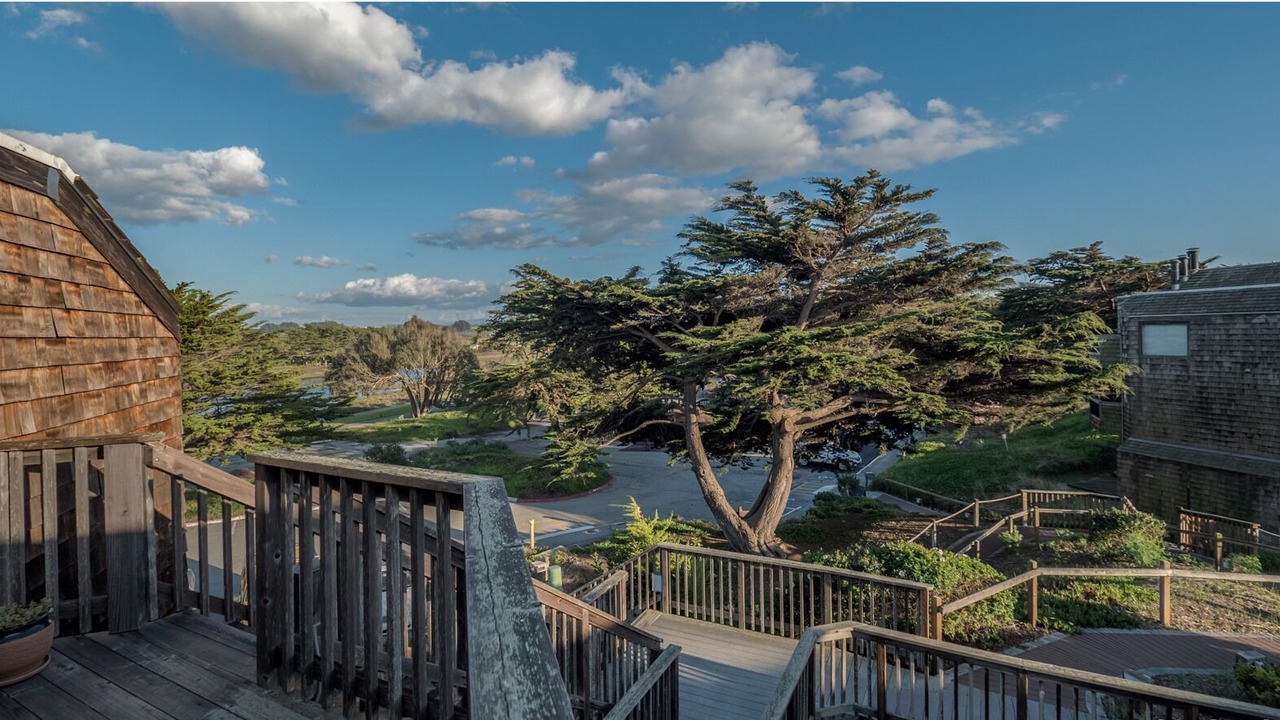 Photo of Outdoor in Pajaro Dunes