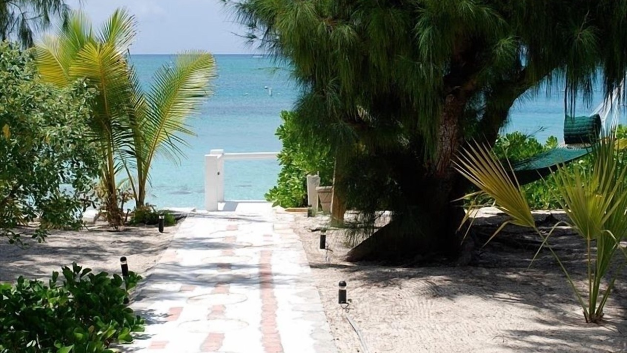 Photo of Others in The Bight