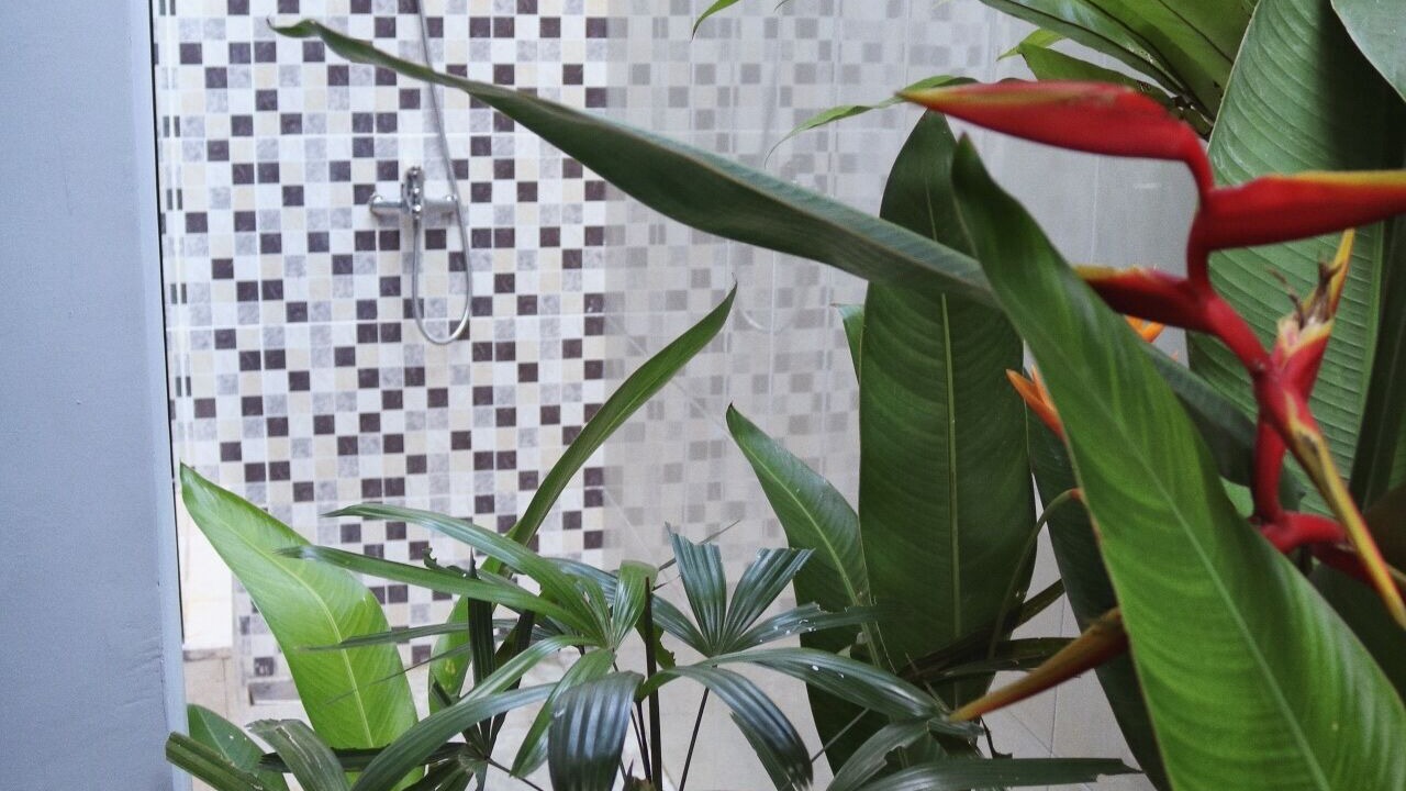 Photo of Outdoor in Ungasan