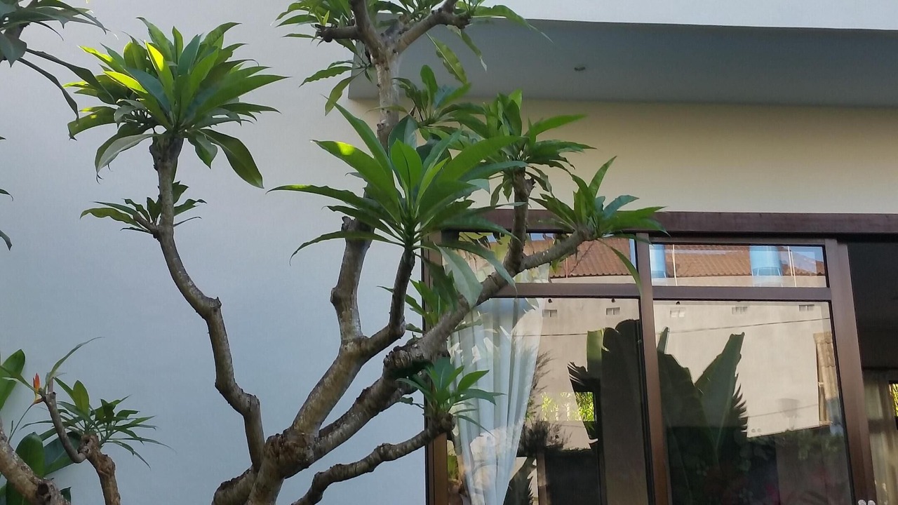 Photo of Outdoor in Padangsambian Klod