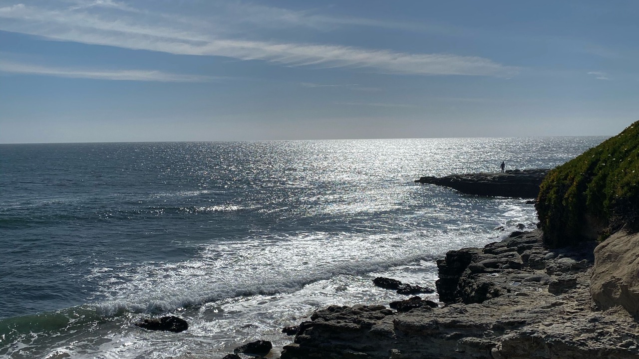 Photo of Others in Westside Santa Cruz