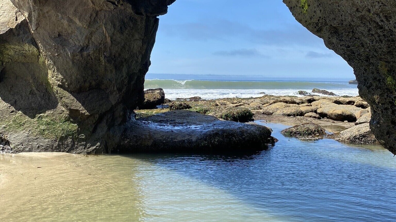 Photo of Others in Westside Santa Cruz