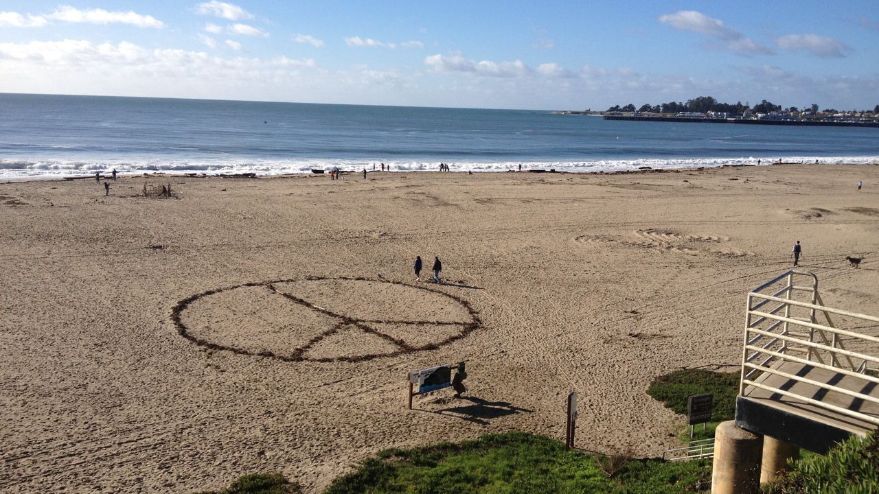 Photo of Others in Seabright