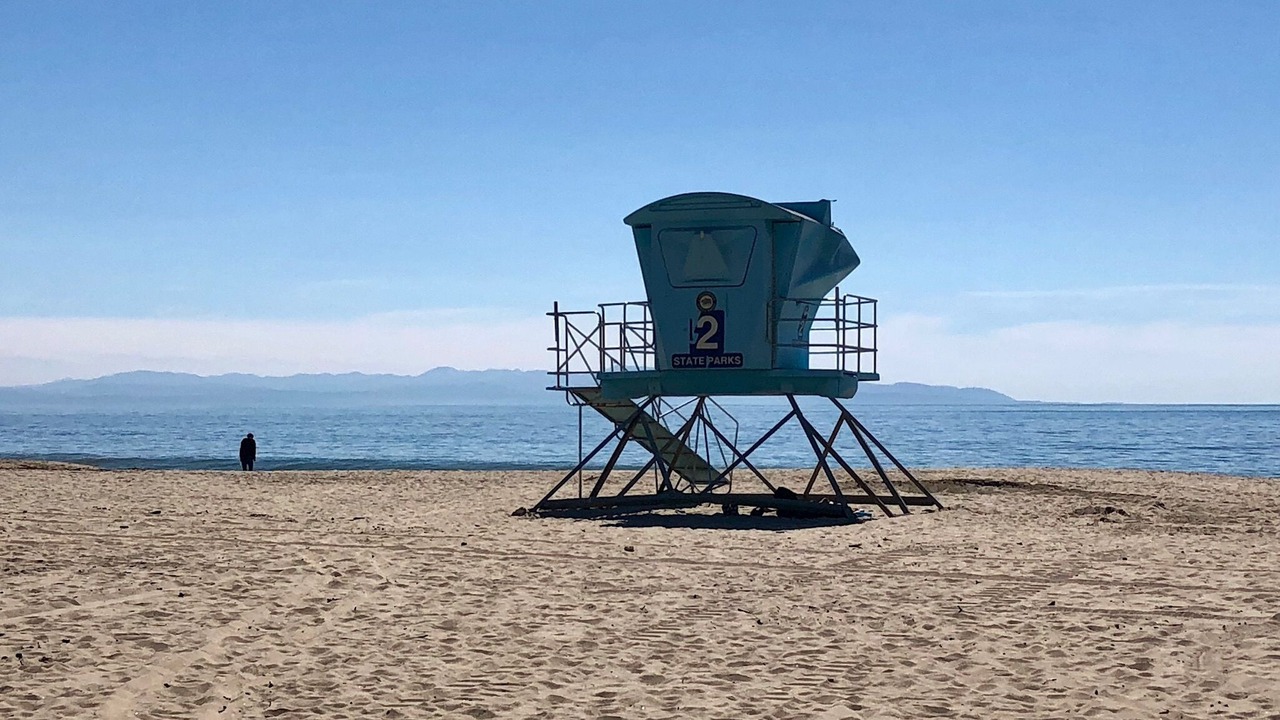 Photo of Others in Seabright