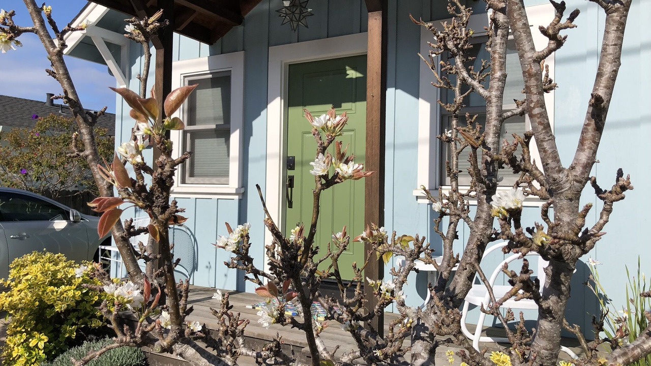Photo of Others in Seabright