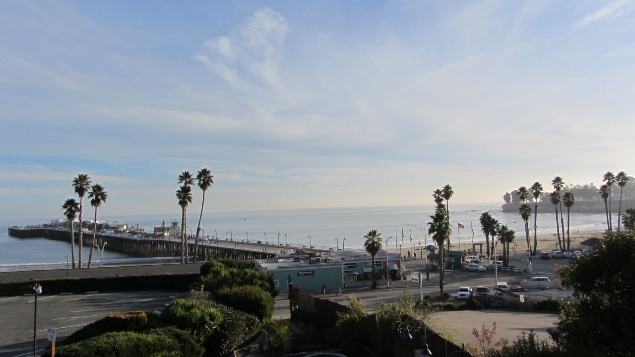 Photo of Others in Seabright