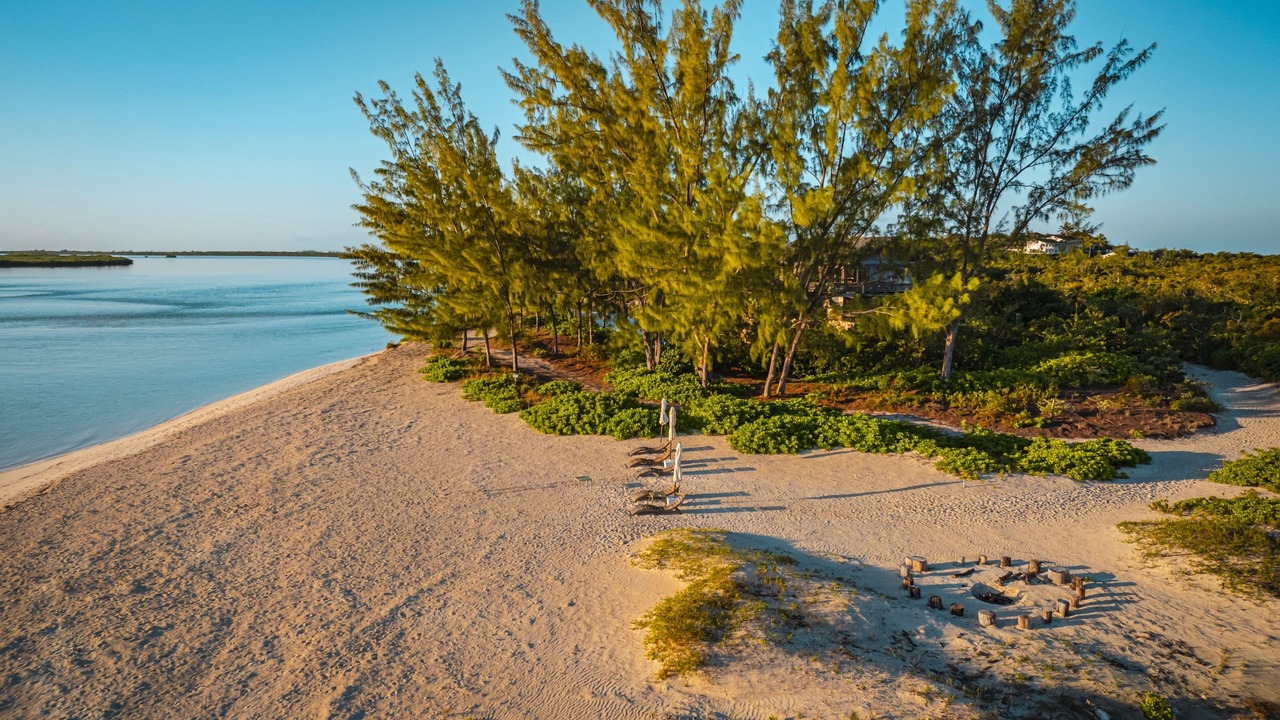Photo of Others in Parrot Cay
