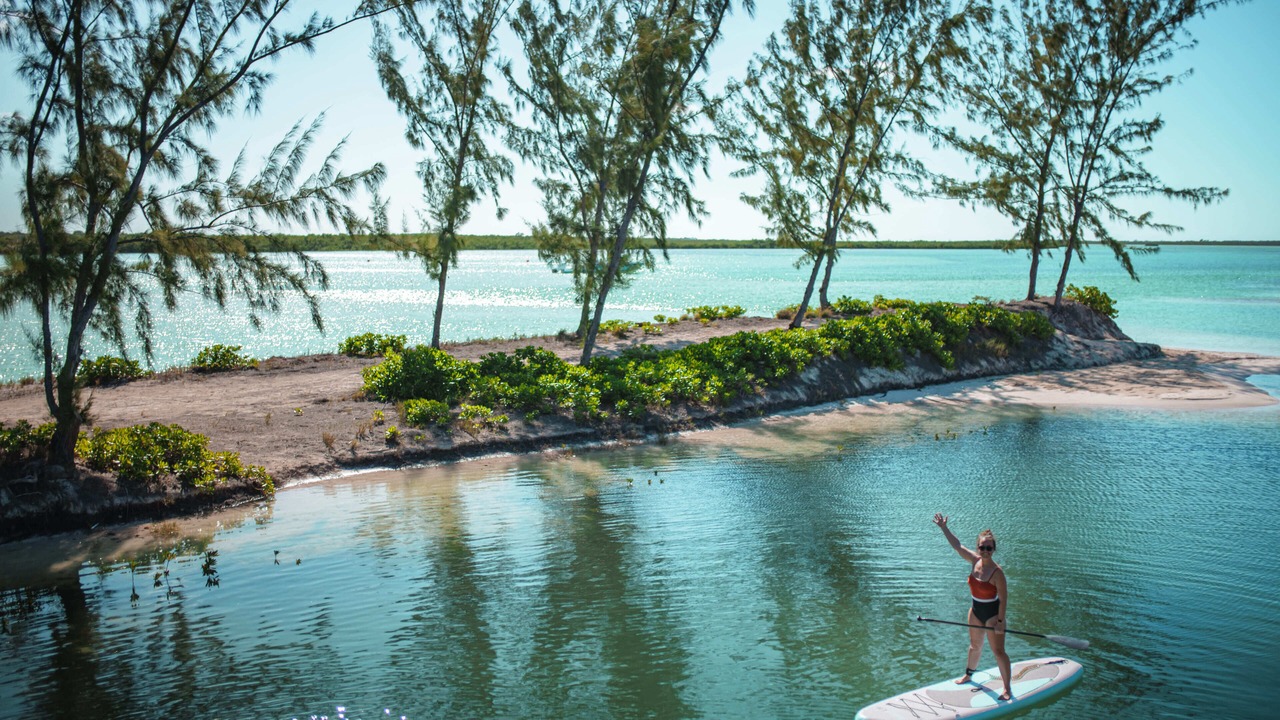 Photo of Others in Parrot Cay