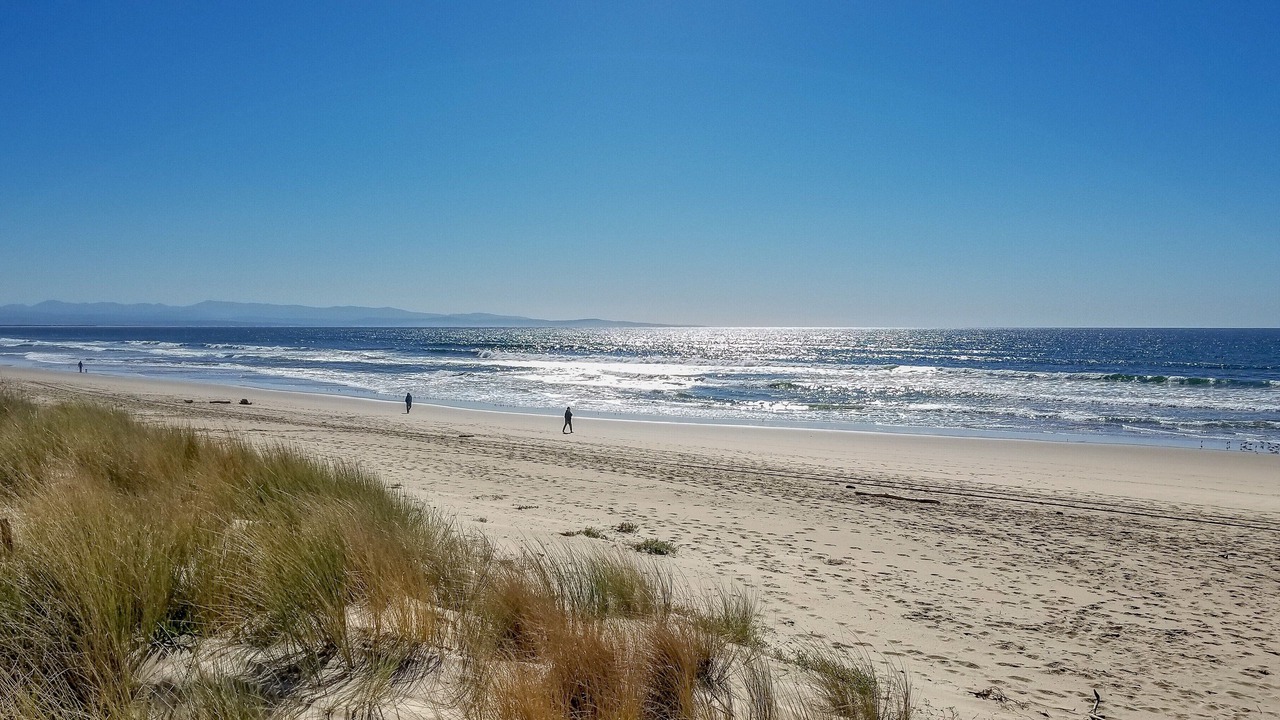 Photo of Others in Pajaro Dunes