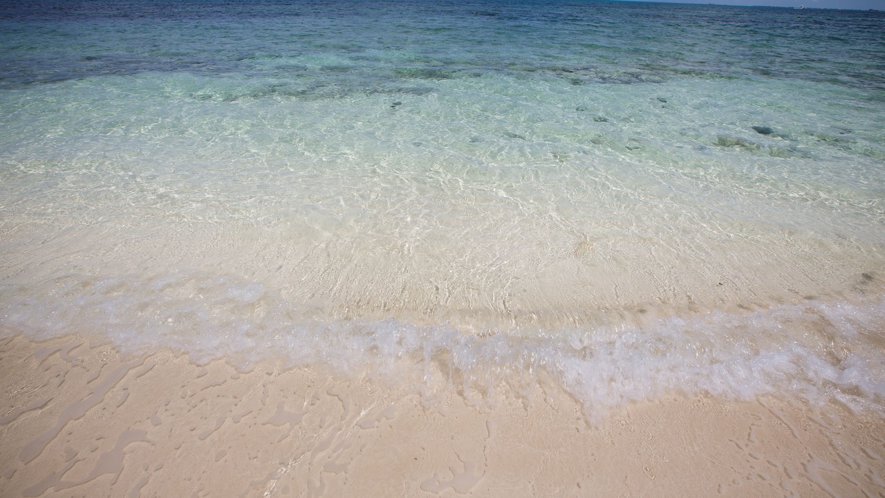 Photo of Others in Providenciales