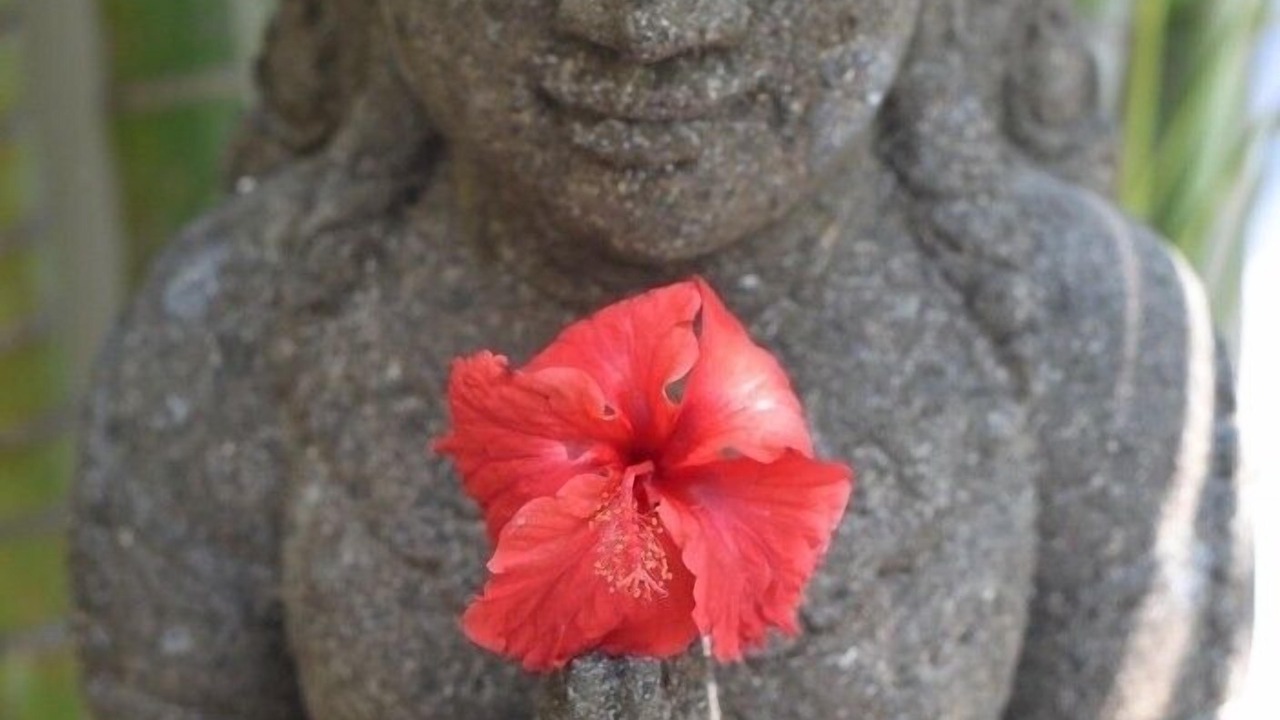 Photo of Others in Seminyak