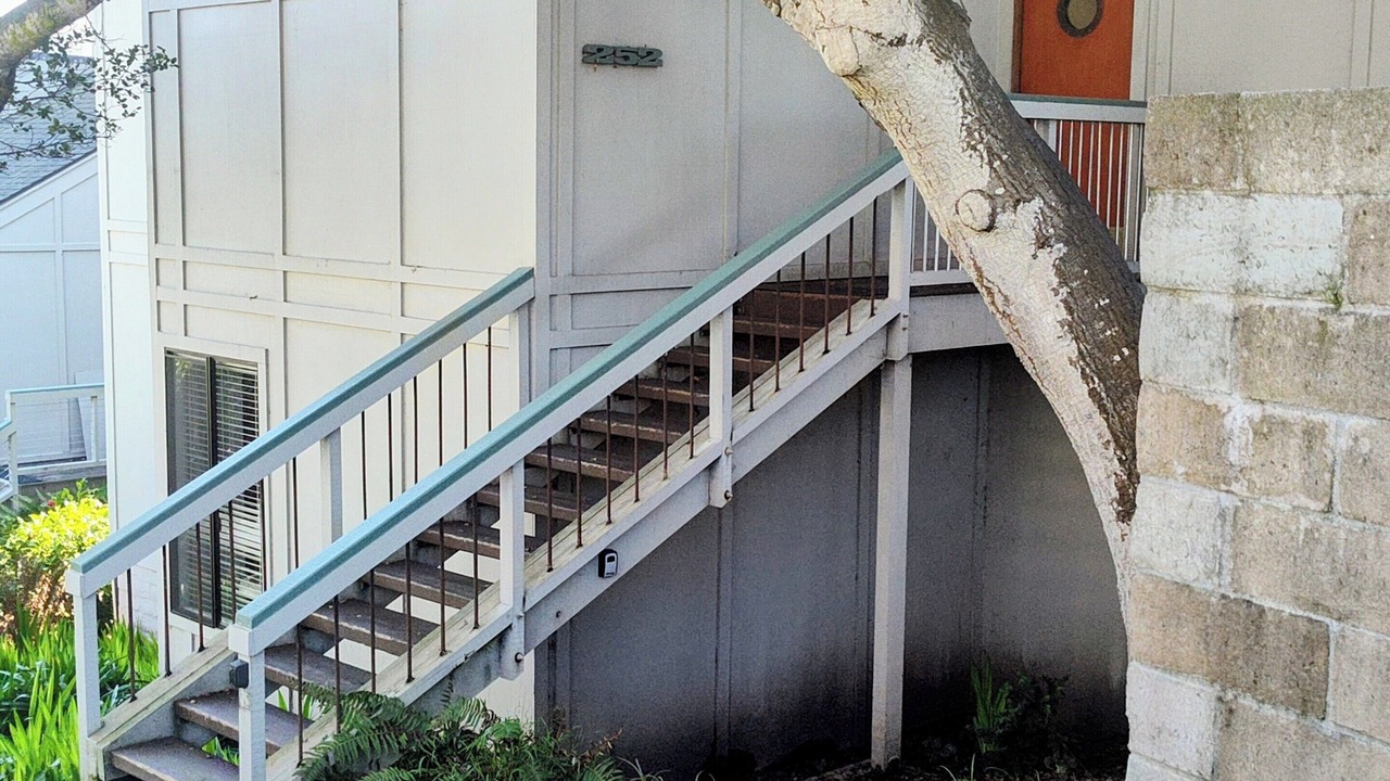 Photo of Outdoor in Seabright
