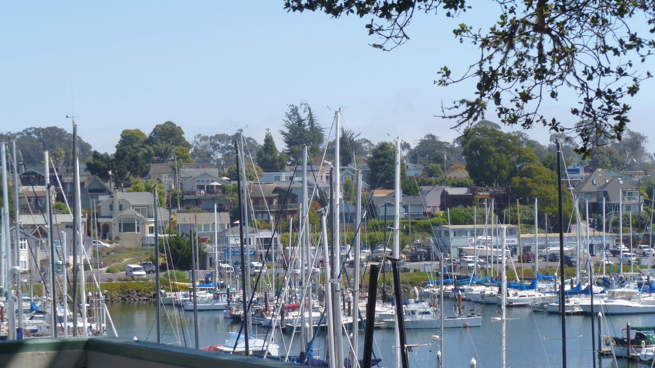 Photo of Others in Seabright