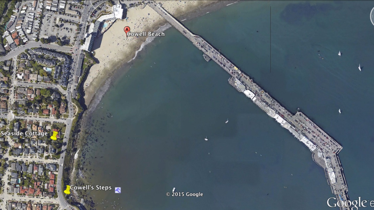 Photo of Others in Westside Santa Cruz