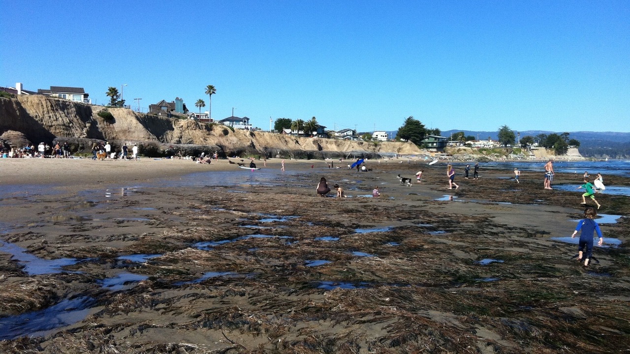 Photo of Others in Opal Cliffs