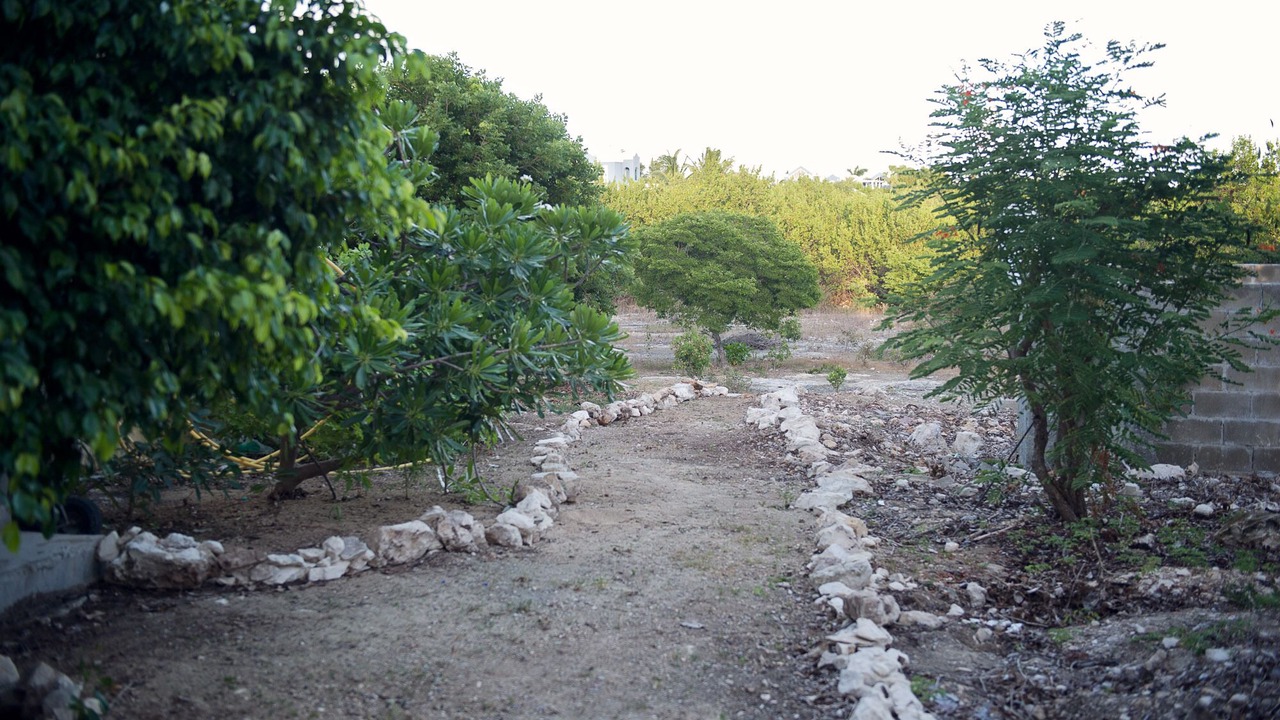 Photo of Outdoor in Long Bay Hills