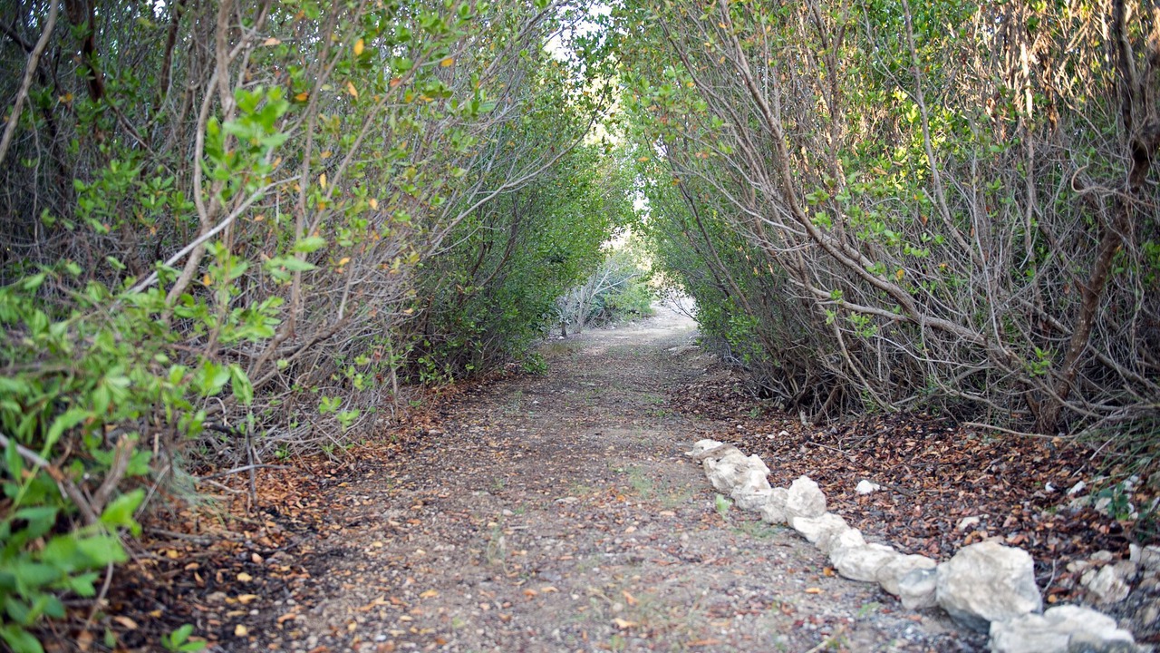 Photo of Outdoor in Long Bay Hills