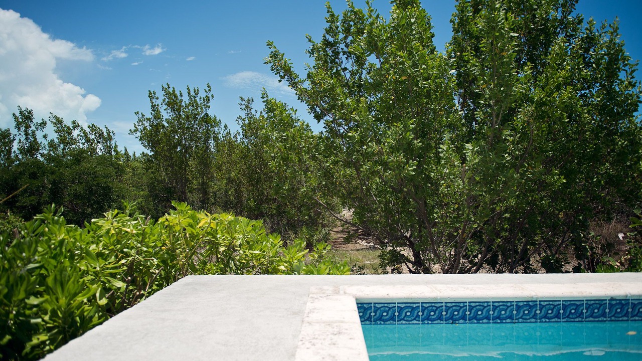 Photo of Outdoor in Long Bay Hills