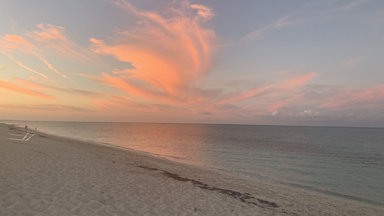 Photo of Others in The Bight