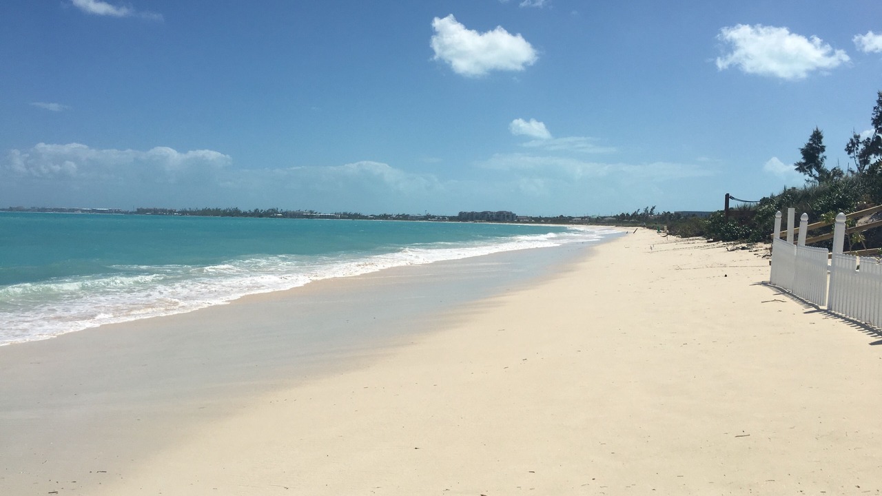 Photo of Others in The Bight