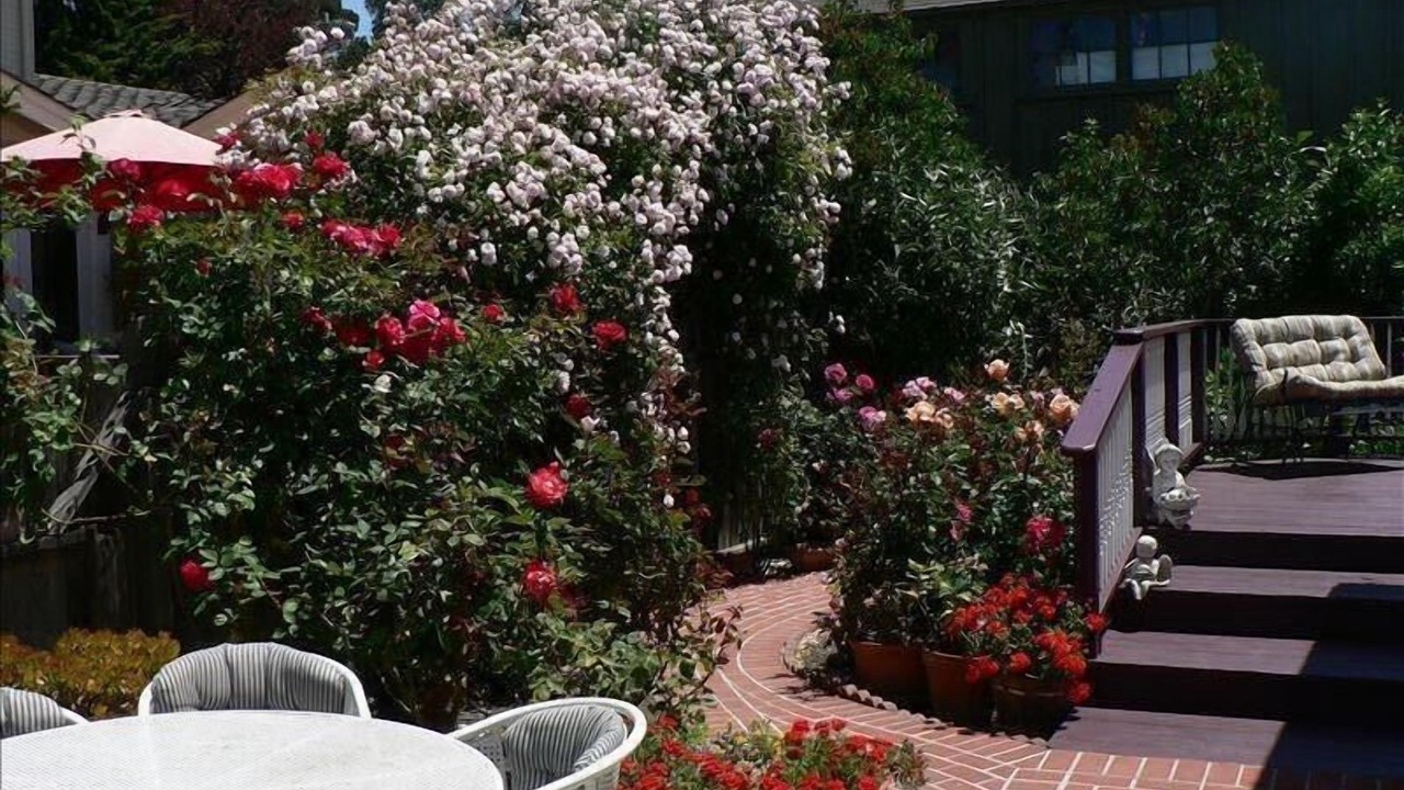 Photo of Outdoor in Capitola