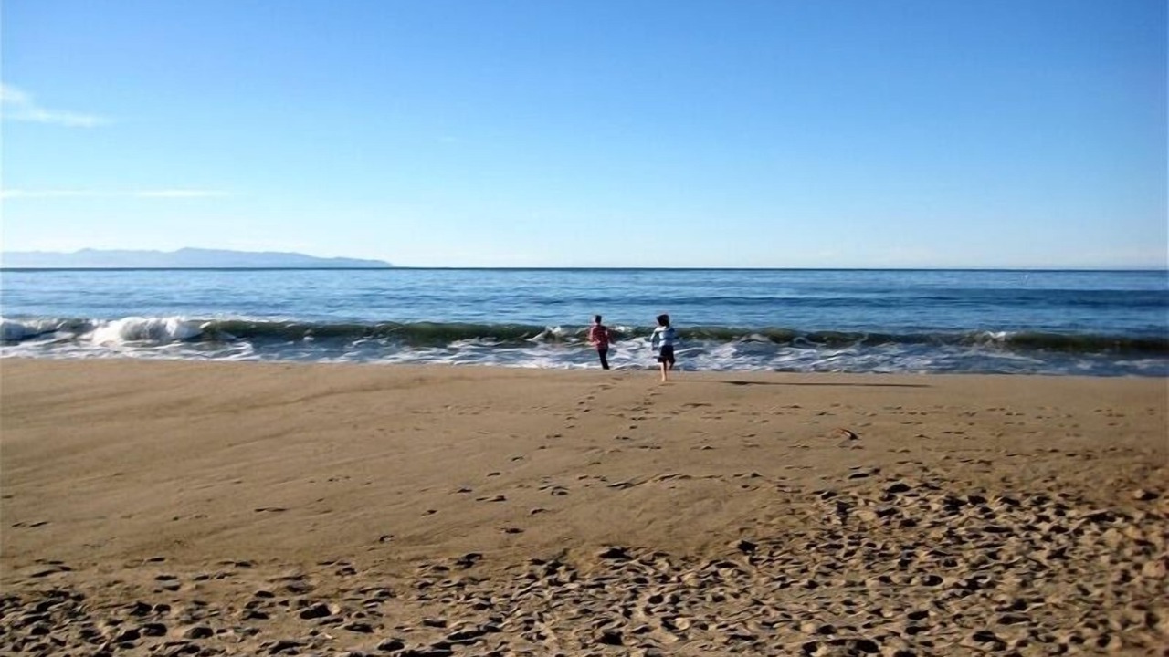 Photo of Others in Seabright