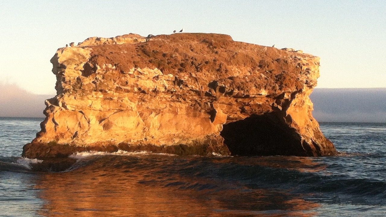 Photo of Others in Westside Santa Cruz