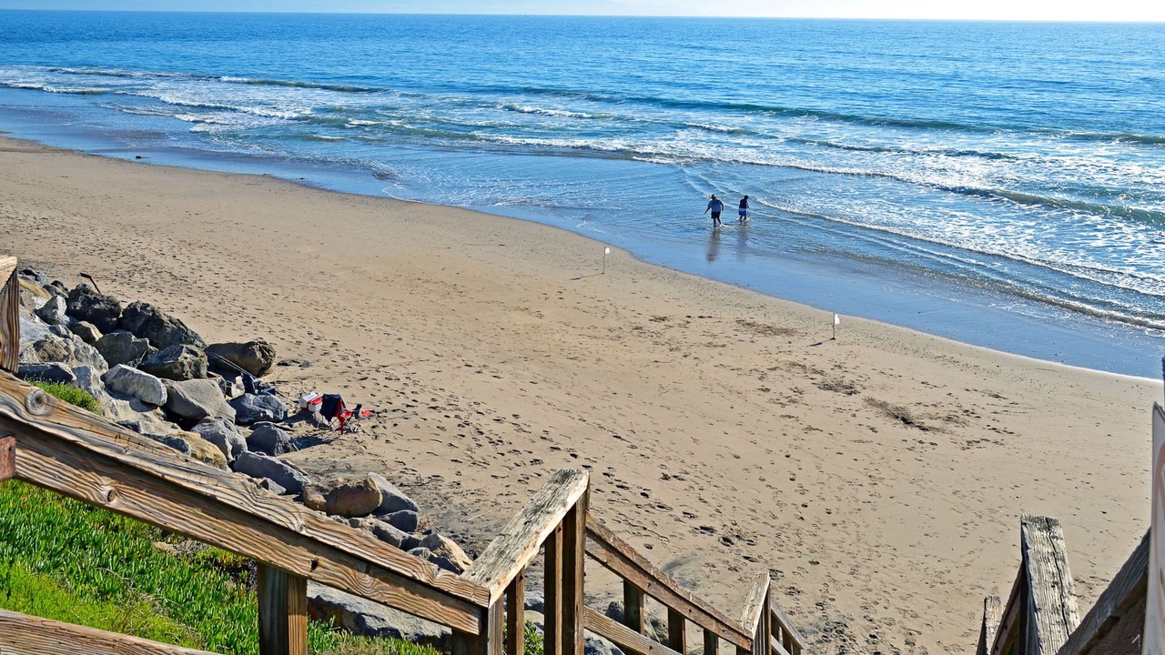 Photo of Others in Eastside Santa Cruz