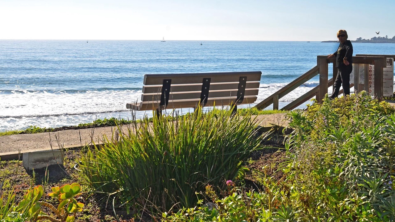 Photo of Others in Eastside Santa Cruz