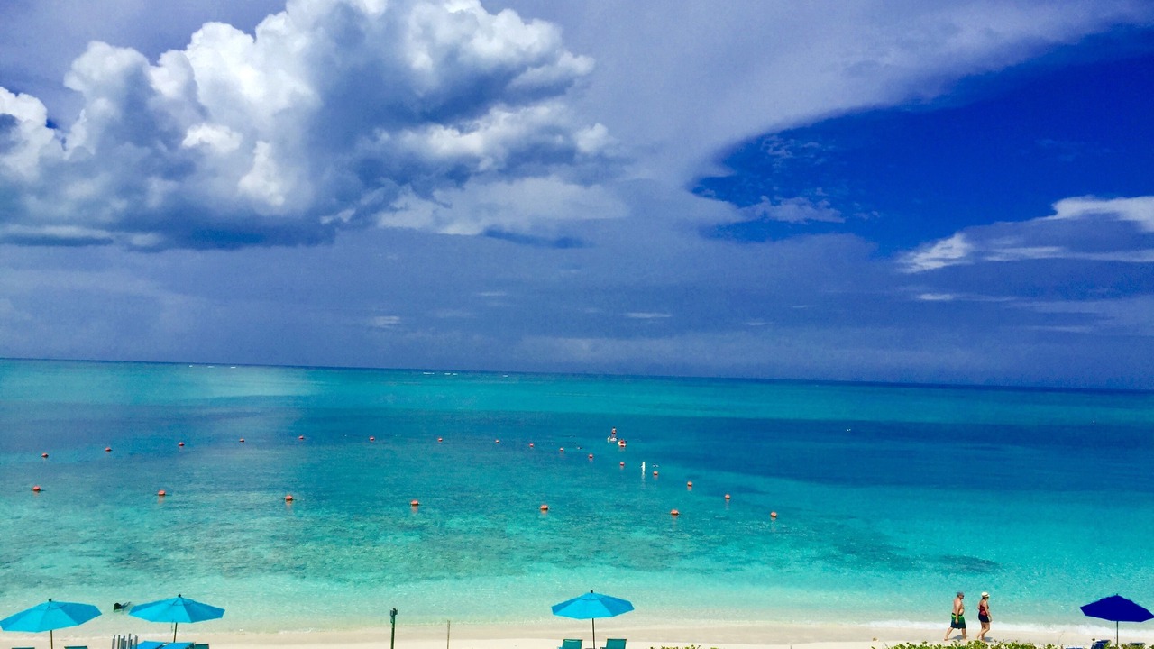 Photo of Others in The Bight