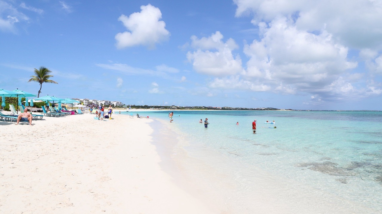 Photo of Others in The Bight