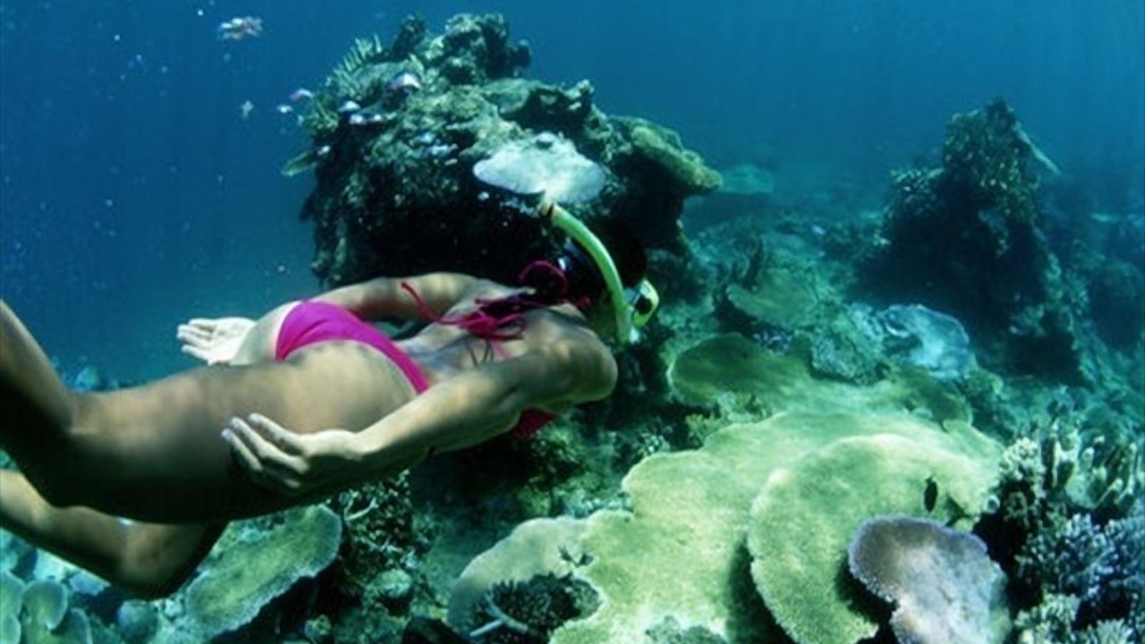 Photo of Others in The Bight
