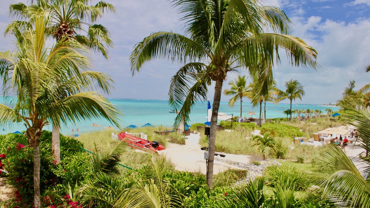 Photo of Others in The Bight